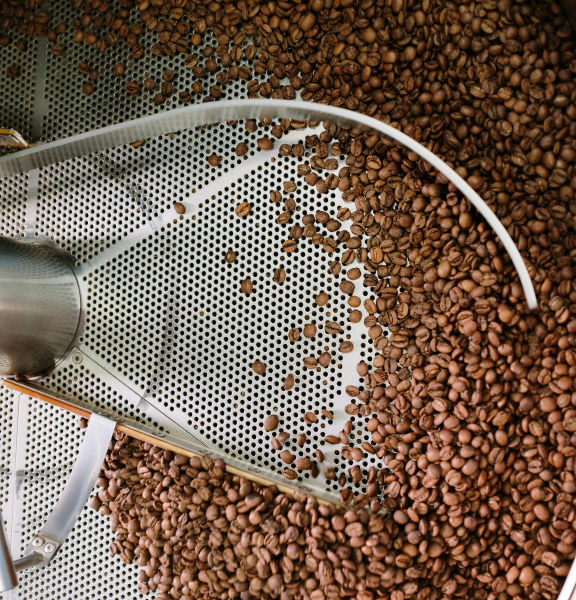 Machinery processing a batch of coffee beans.