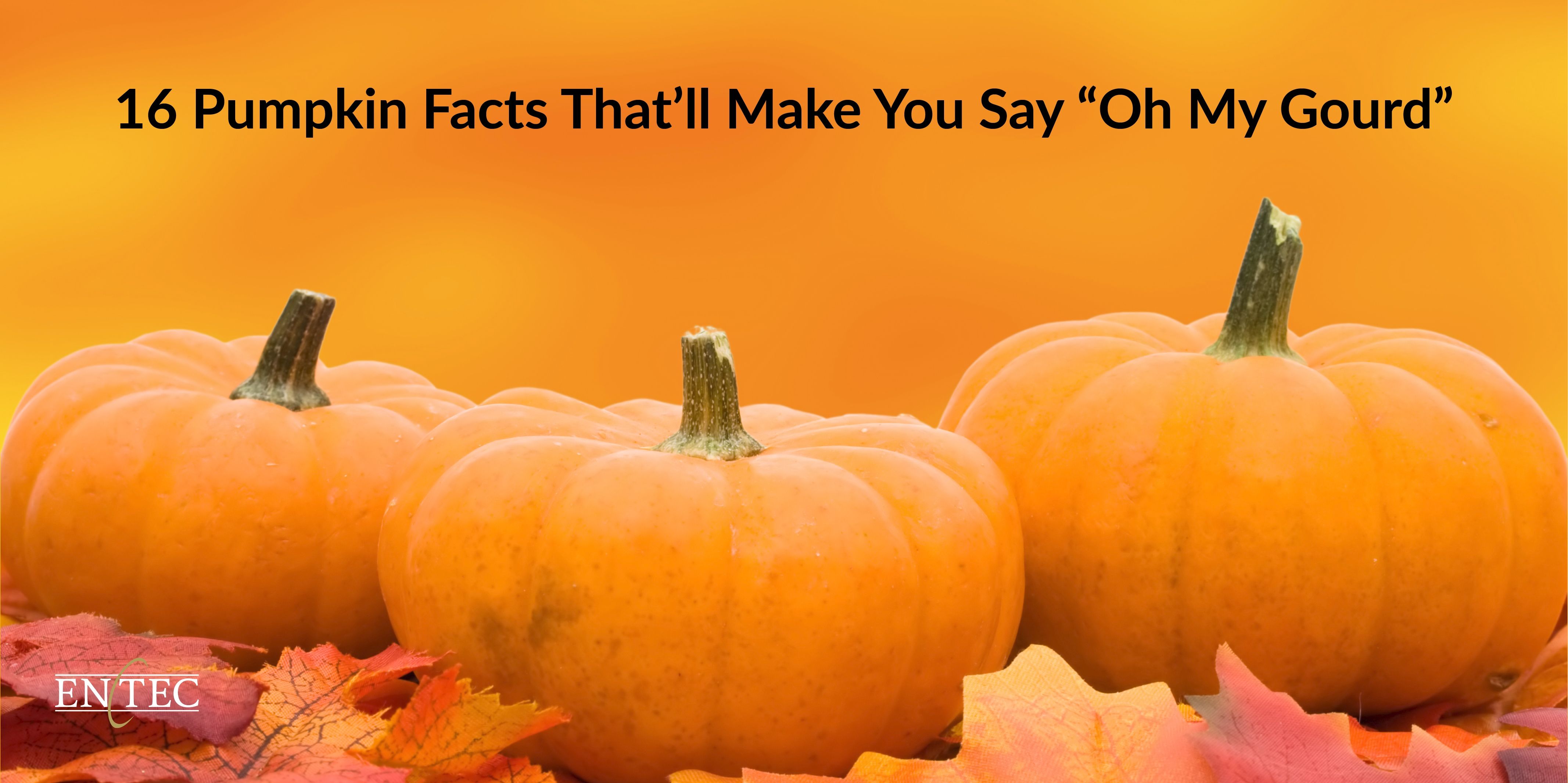 Halloween 2020 Social Media Post