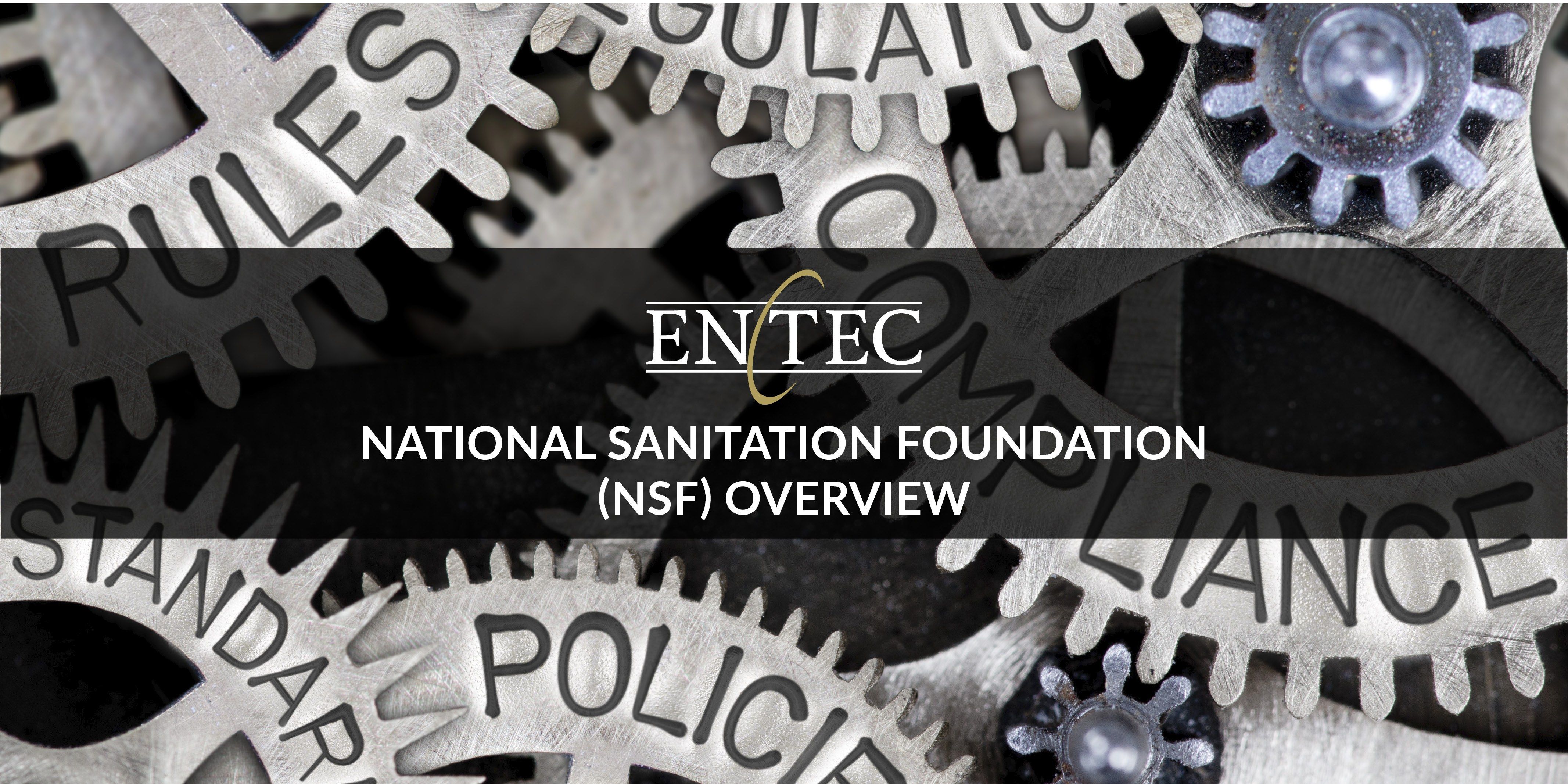 National Sanitation Foundation NSF Overview Social Media Post