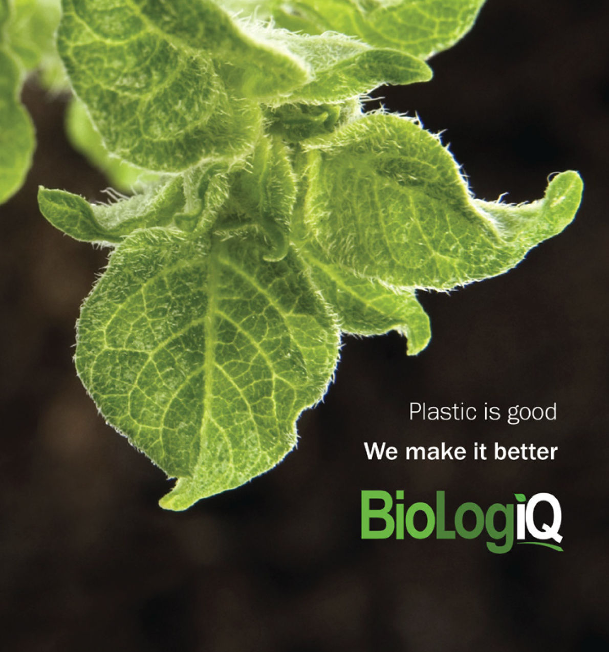 BioLogiQ Brochure Thumbnail