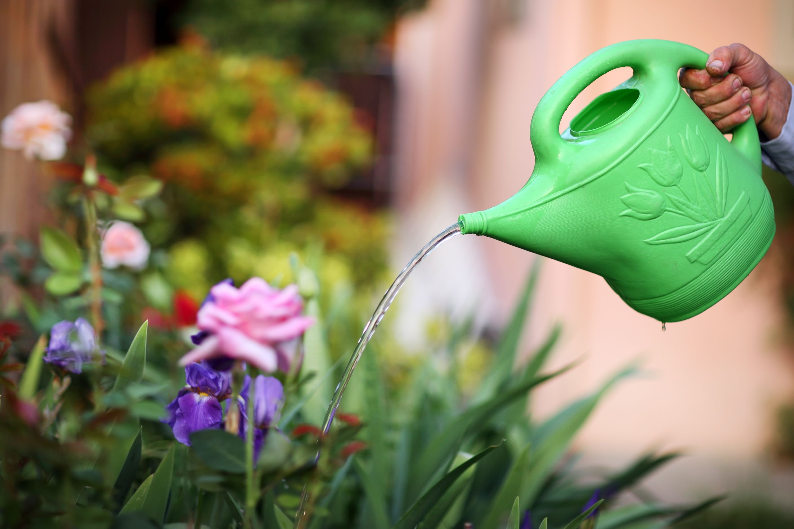 Plant Waterer