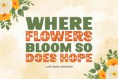 Monica Garden Font Preview05