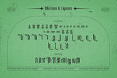 Pickyside Font 02
