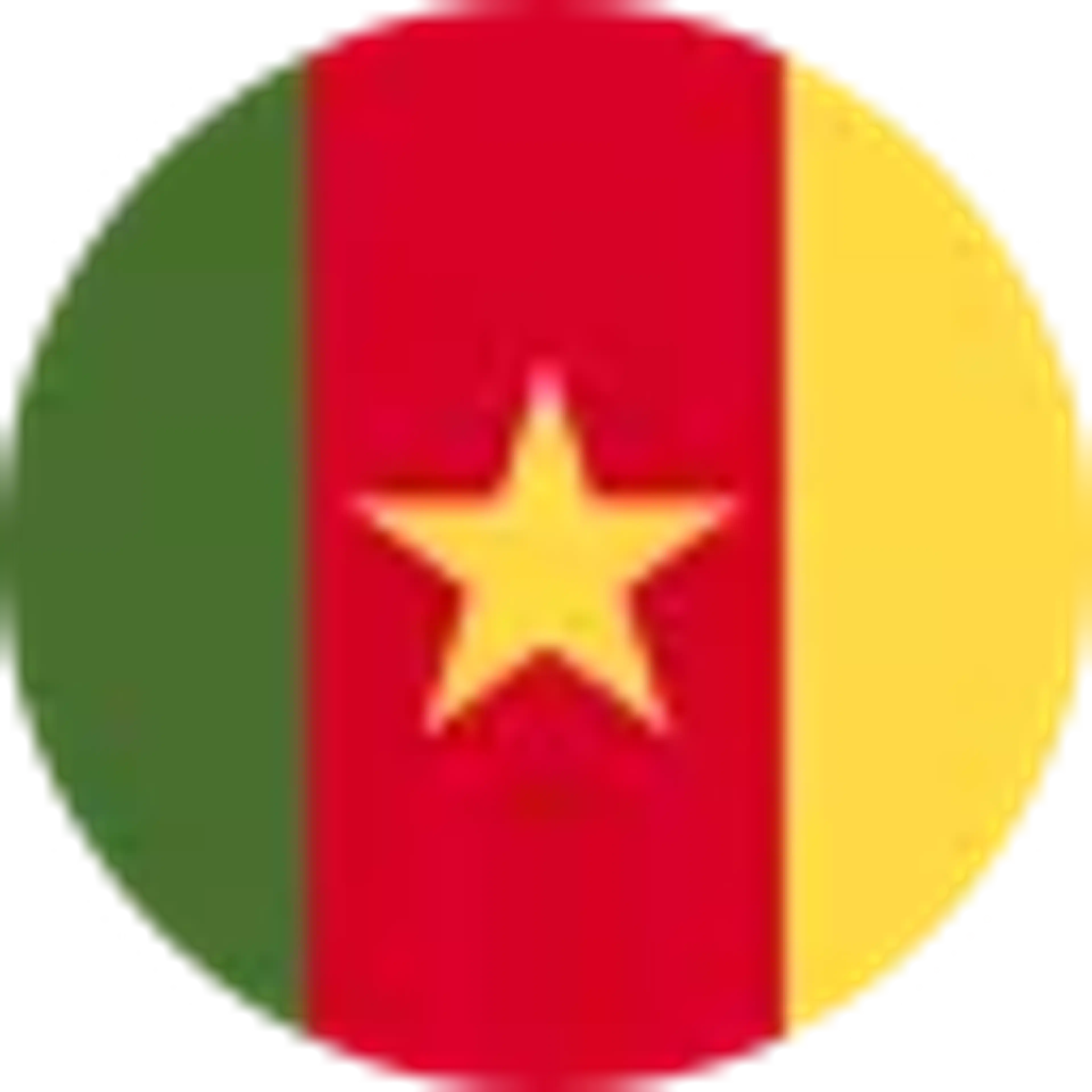 cameroon_flag_image