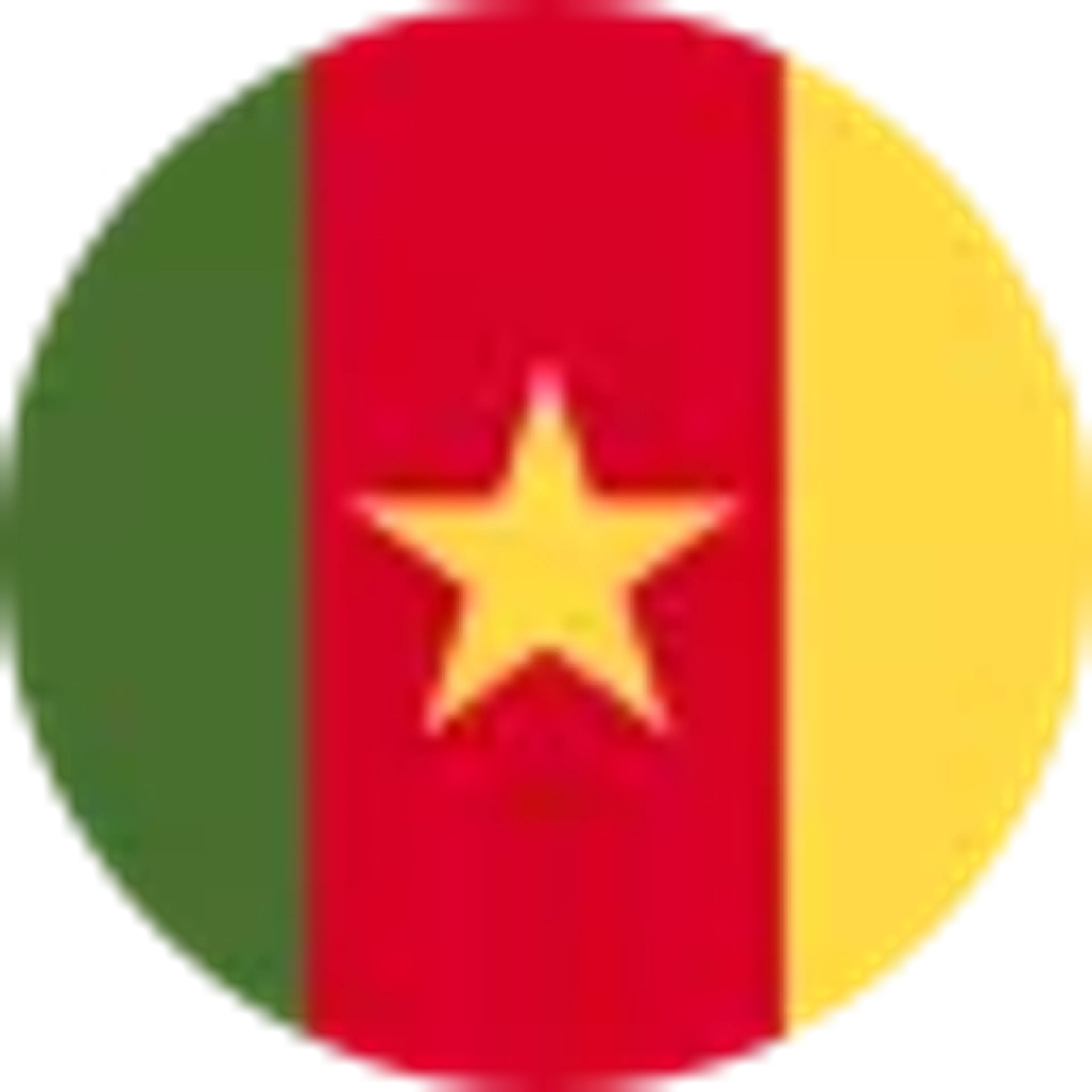 cameroon_flag_image