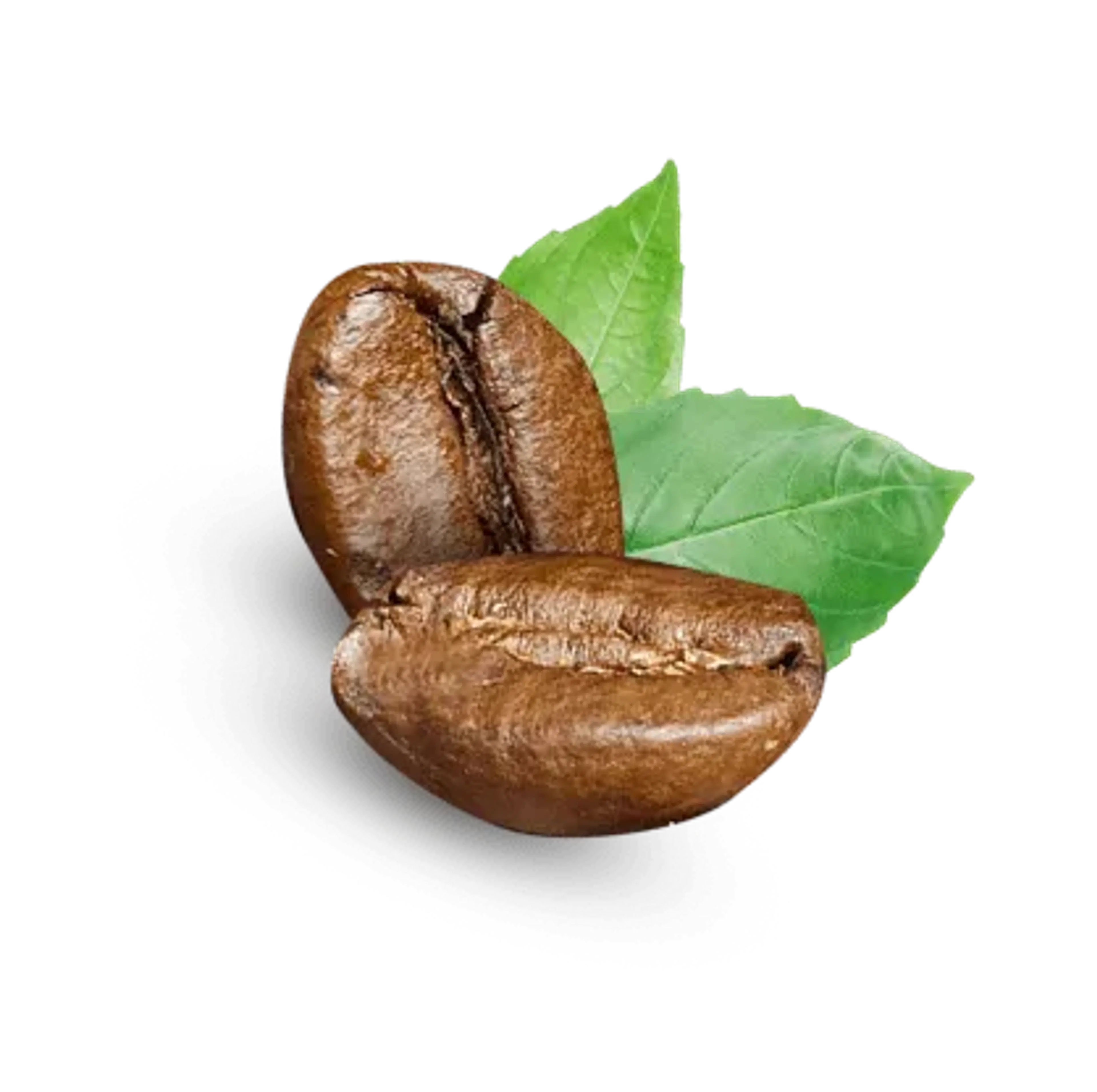 coffee_leaf_img