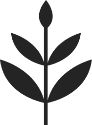 Evereden Logo