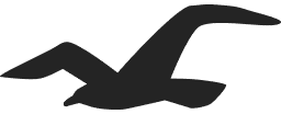 Hollister Logo