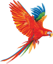 Maui Jim Logo