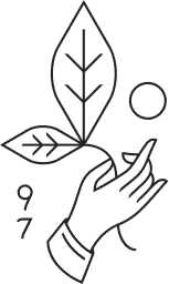 Rishi Tea & Botanicals Logo