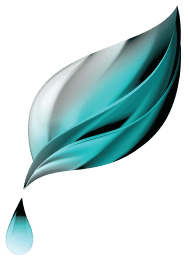 Seratopical Revolution Logo