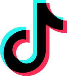TikTok for Business Logo