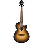 Ibanez AEG50 Acoustic Electric Guitar