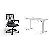 Cartwright Ergonomic Fabric Swivel Task Chair + 48" FlexiSpot E2 Electric Adjustable Standing Desk