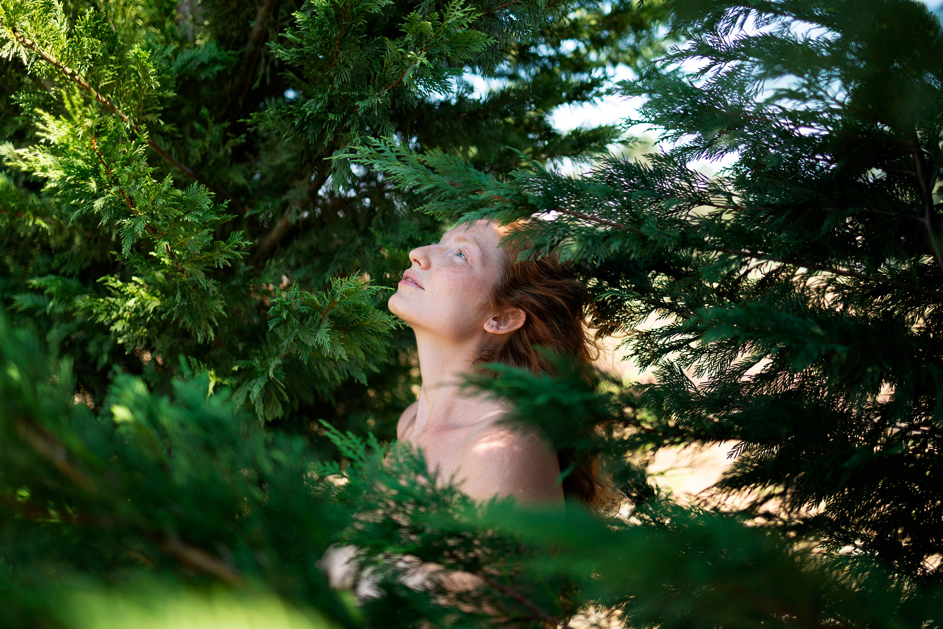 carregando imagem ...