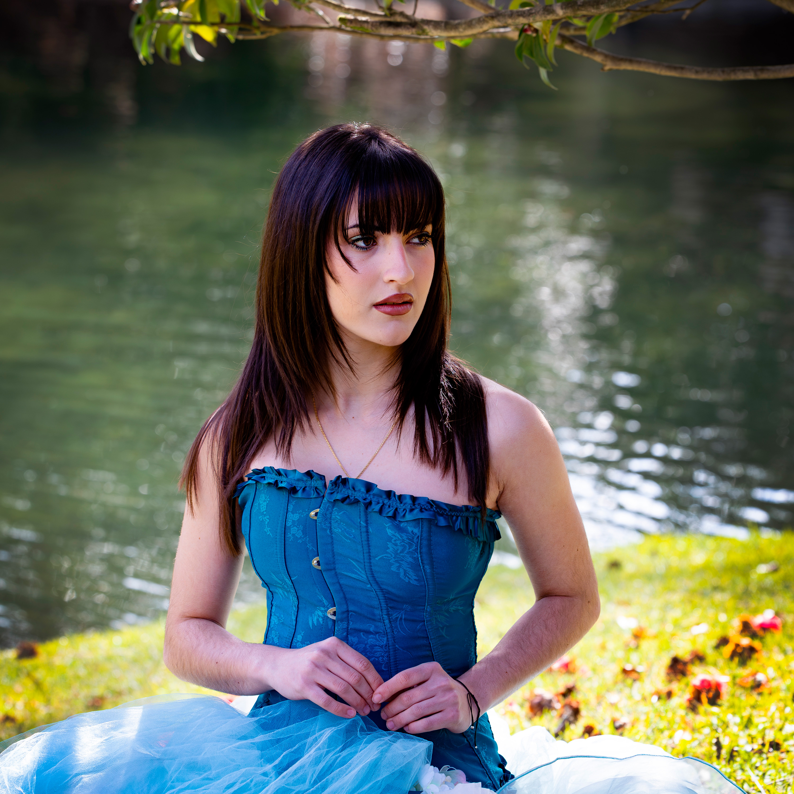 carregando imagem ...