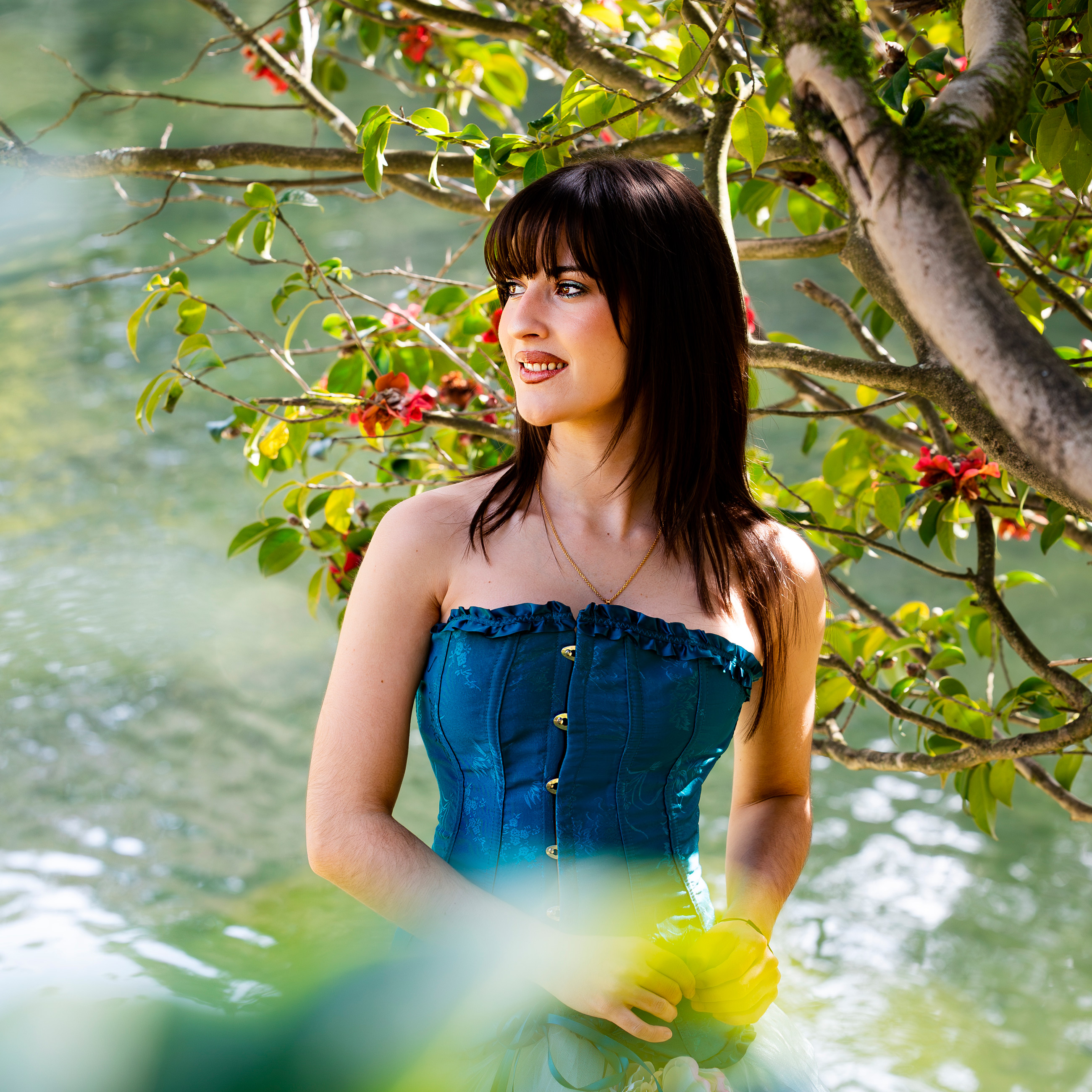 carregando imagem ...