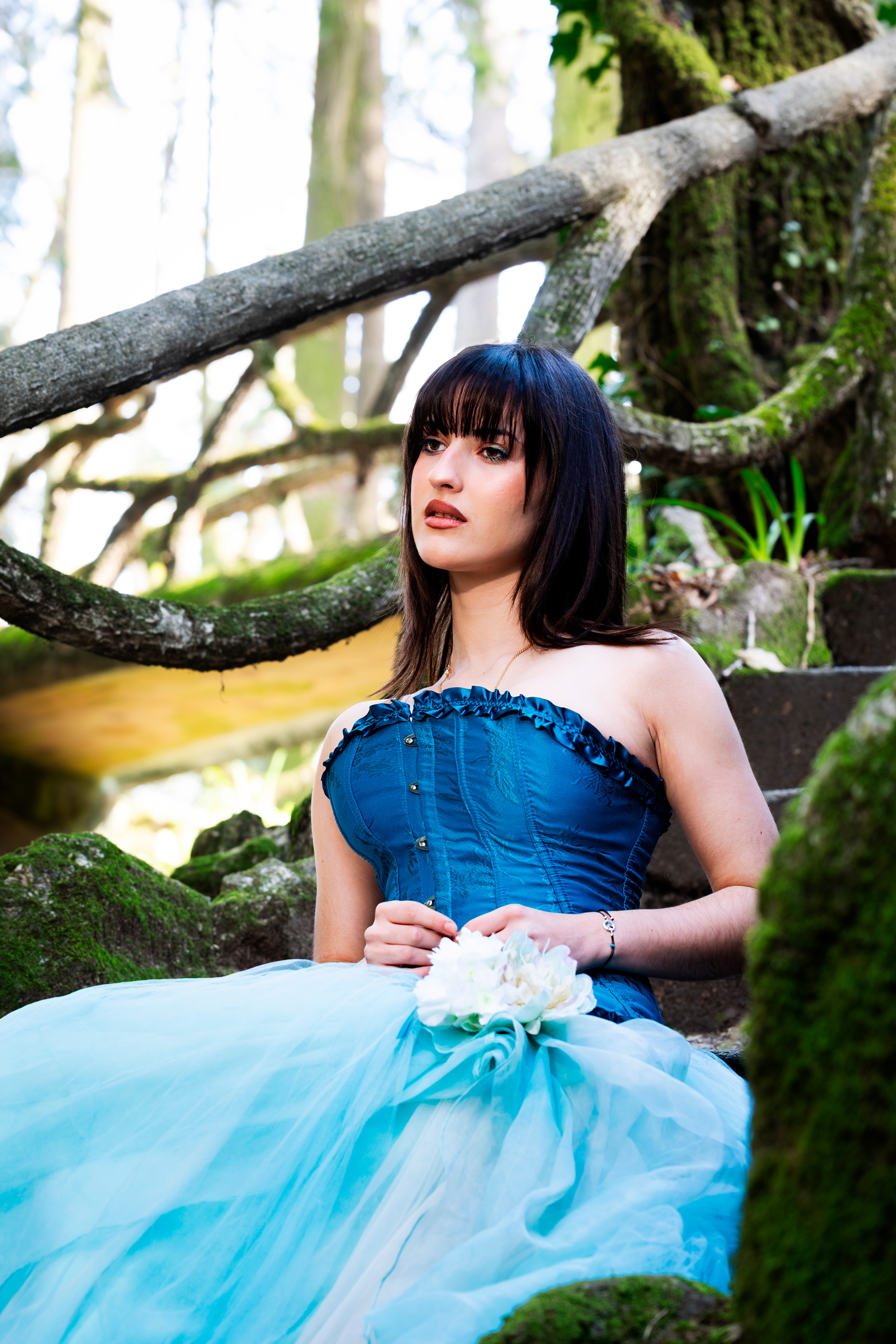 carregando imagem ...