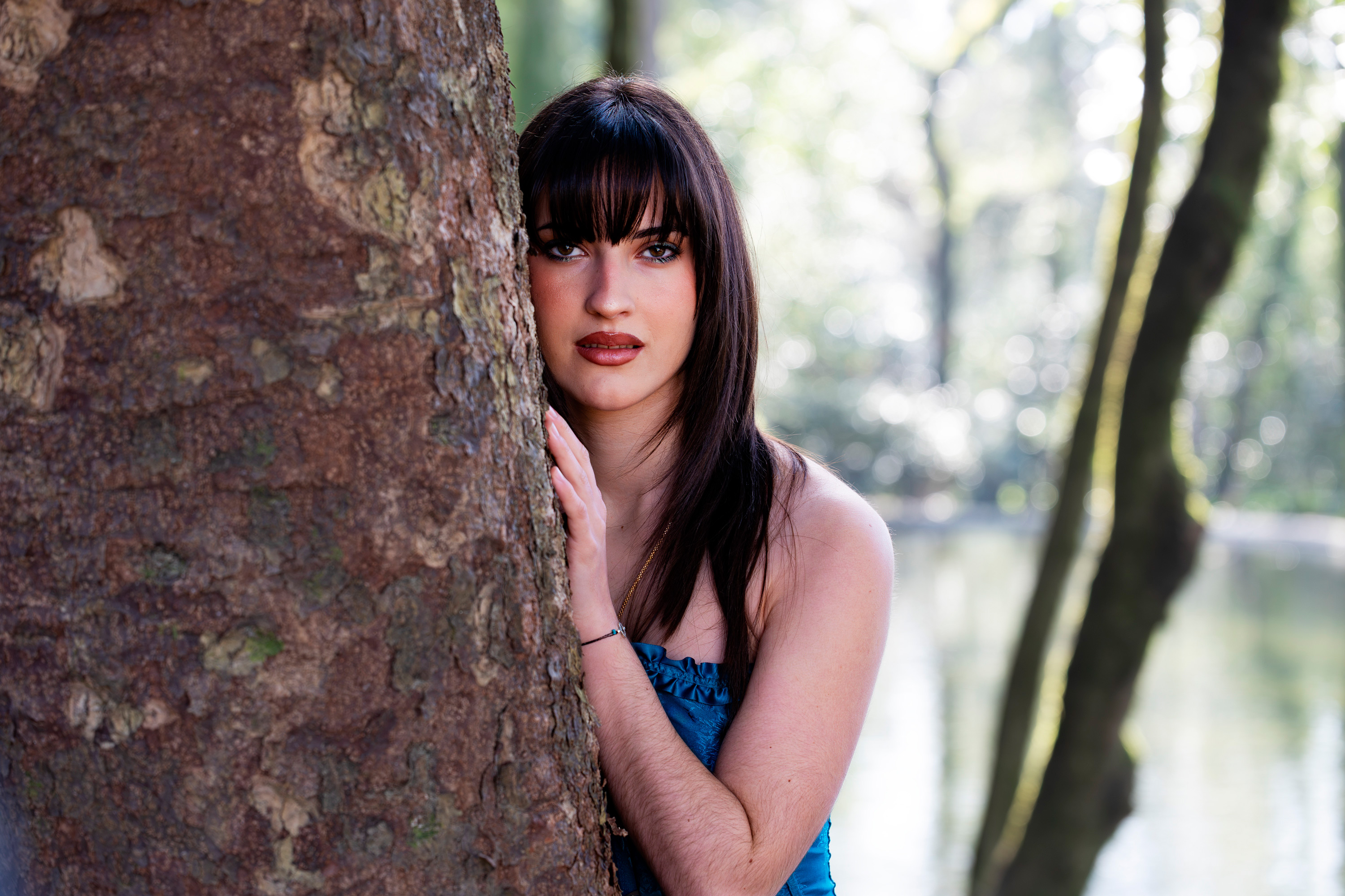 carregando imagem ...