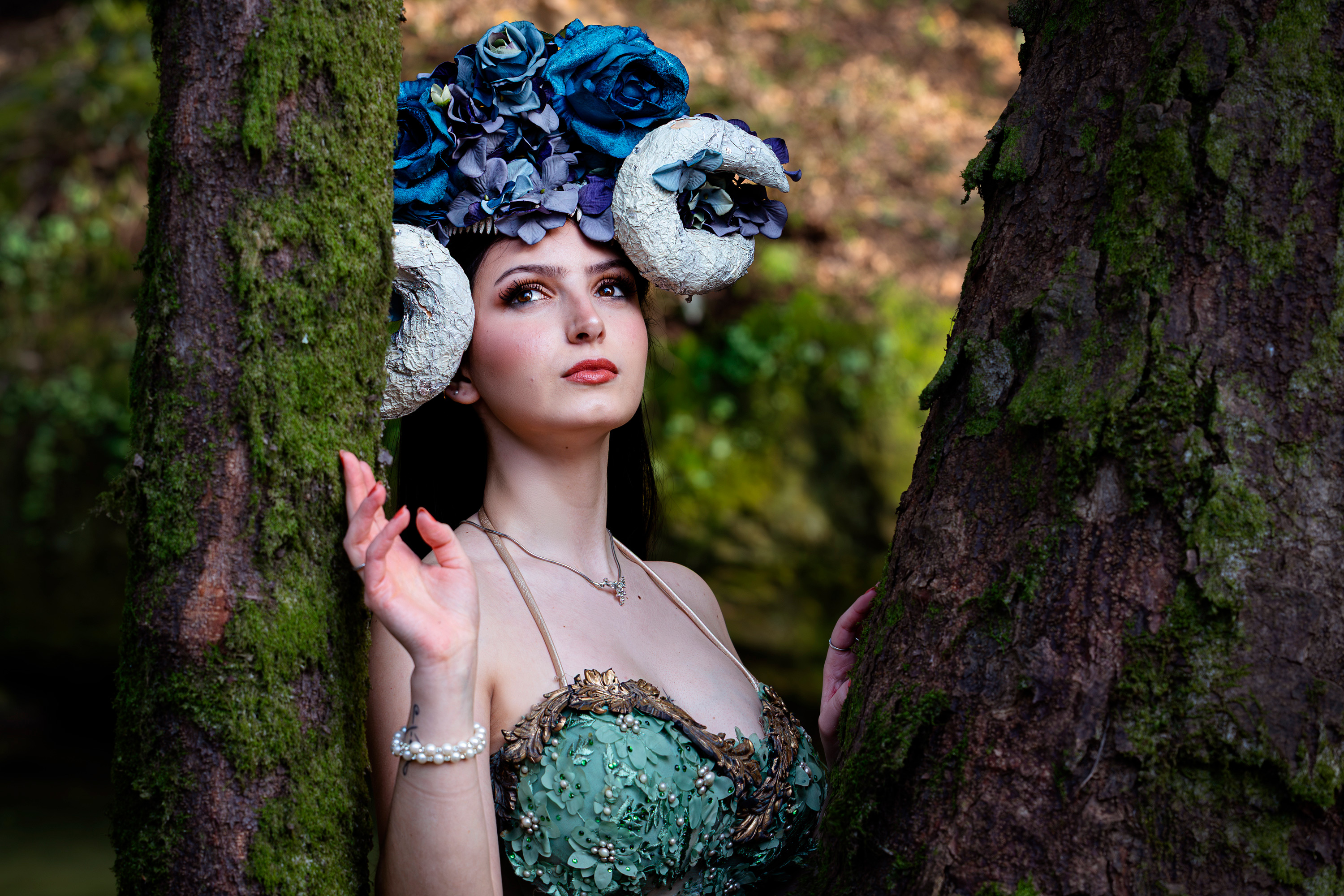 carregando imagem ...