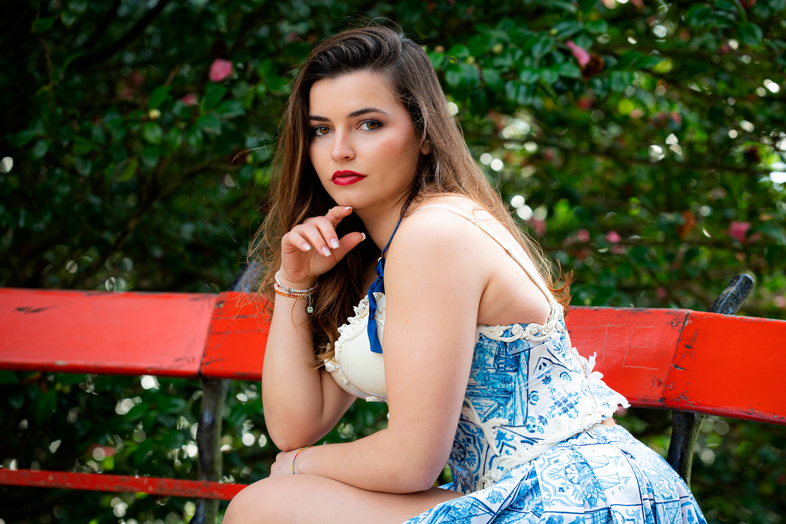 carregando imagem ...