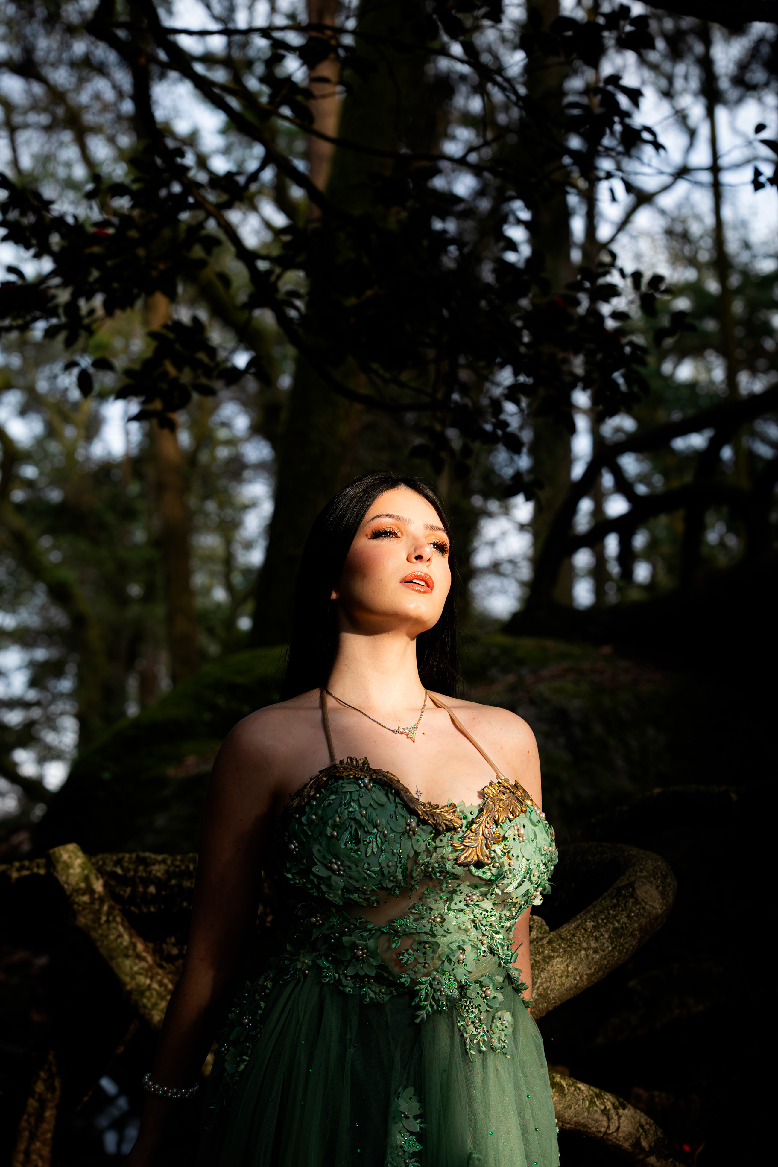 carregando imagem ...