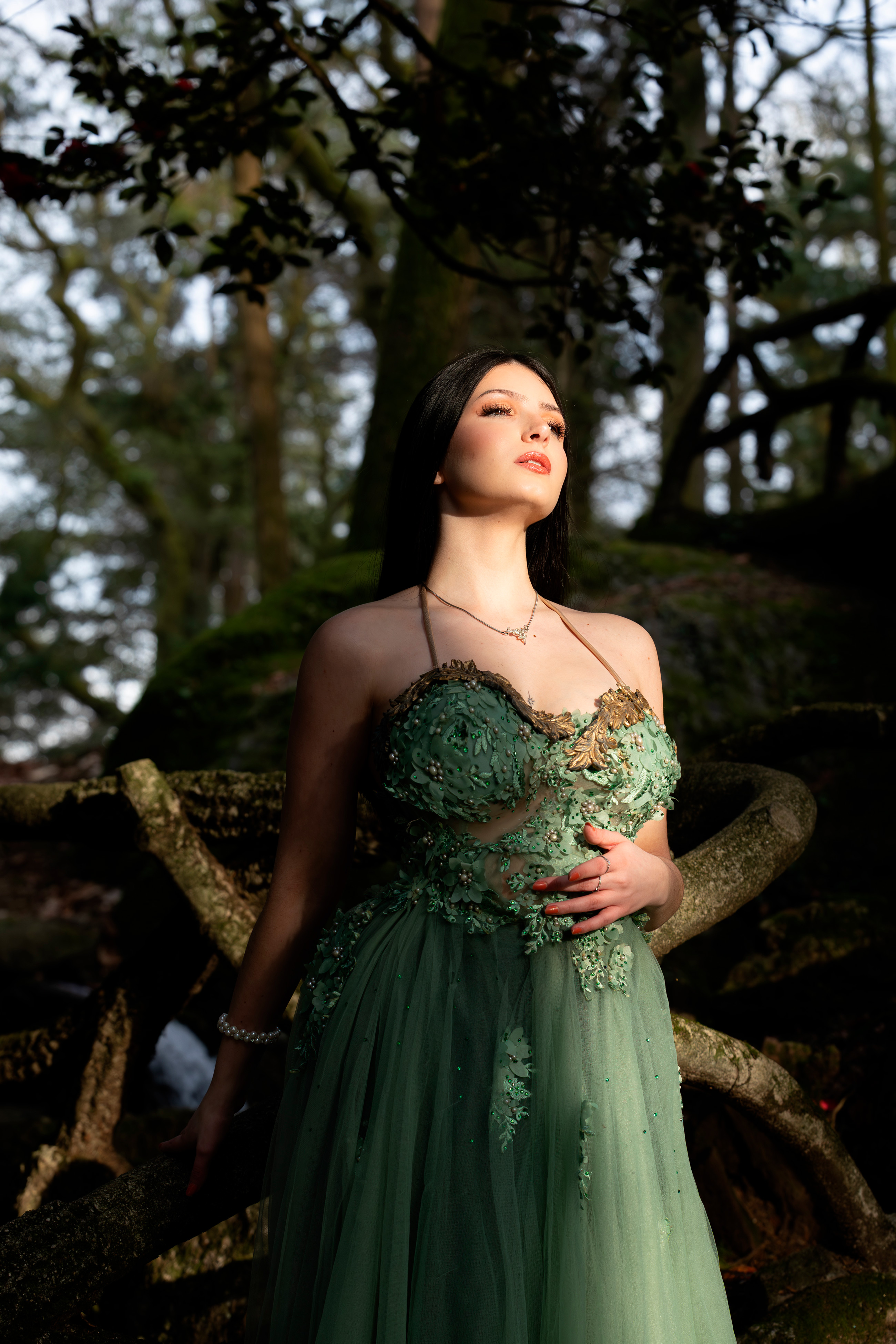 carregando imagem ...