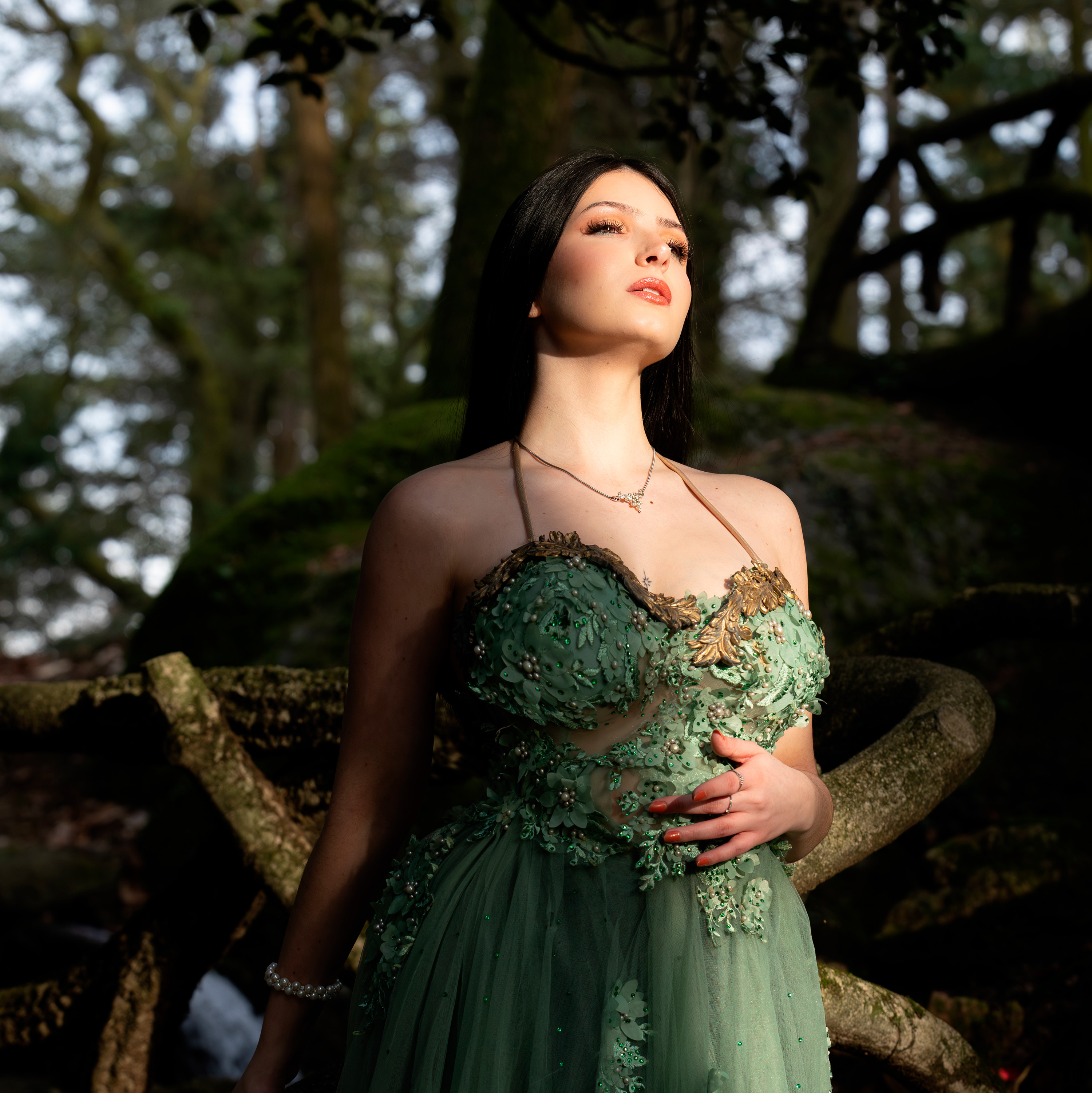 carregando imagem ...