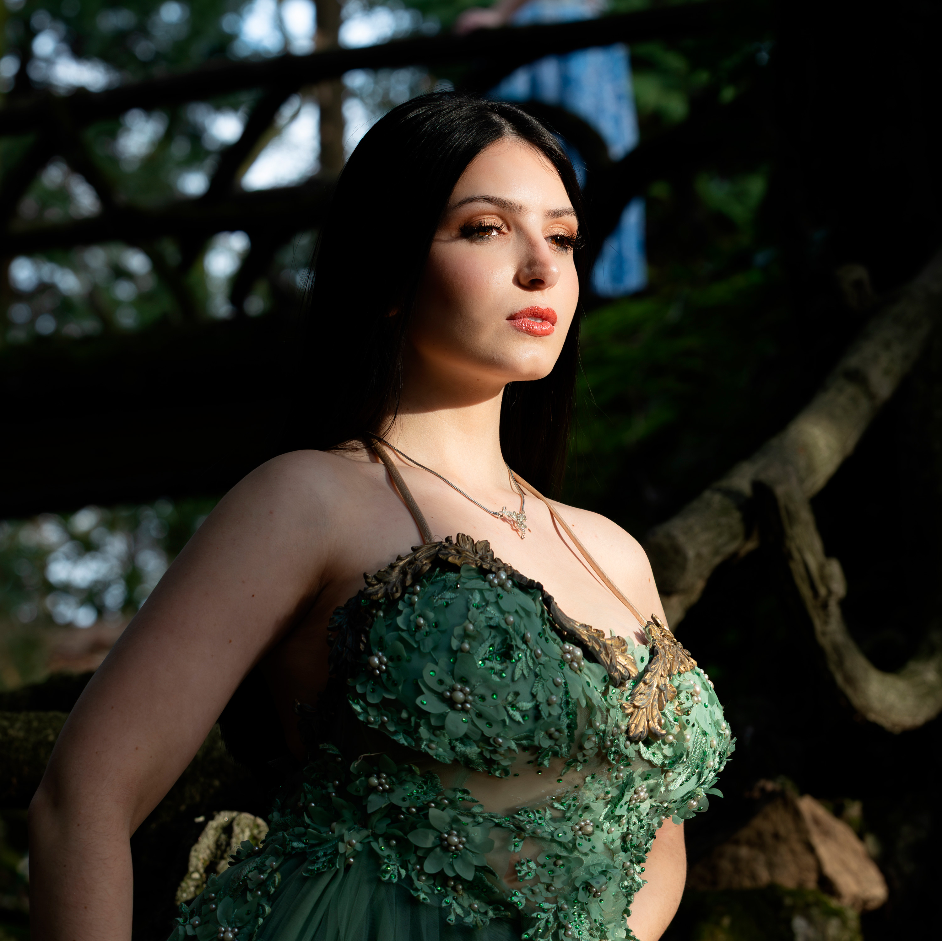 carregando imagem ...