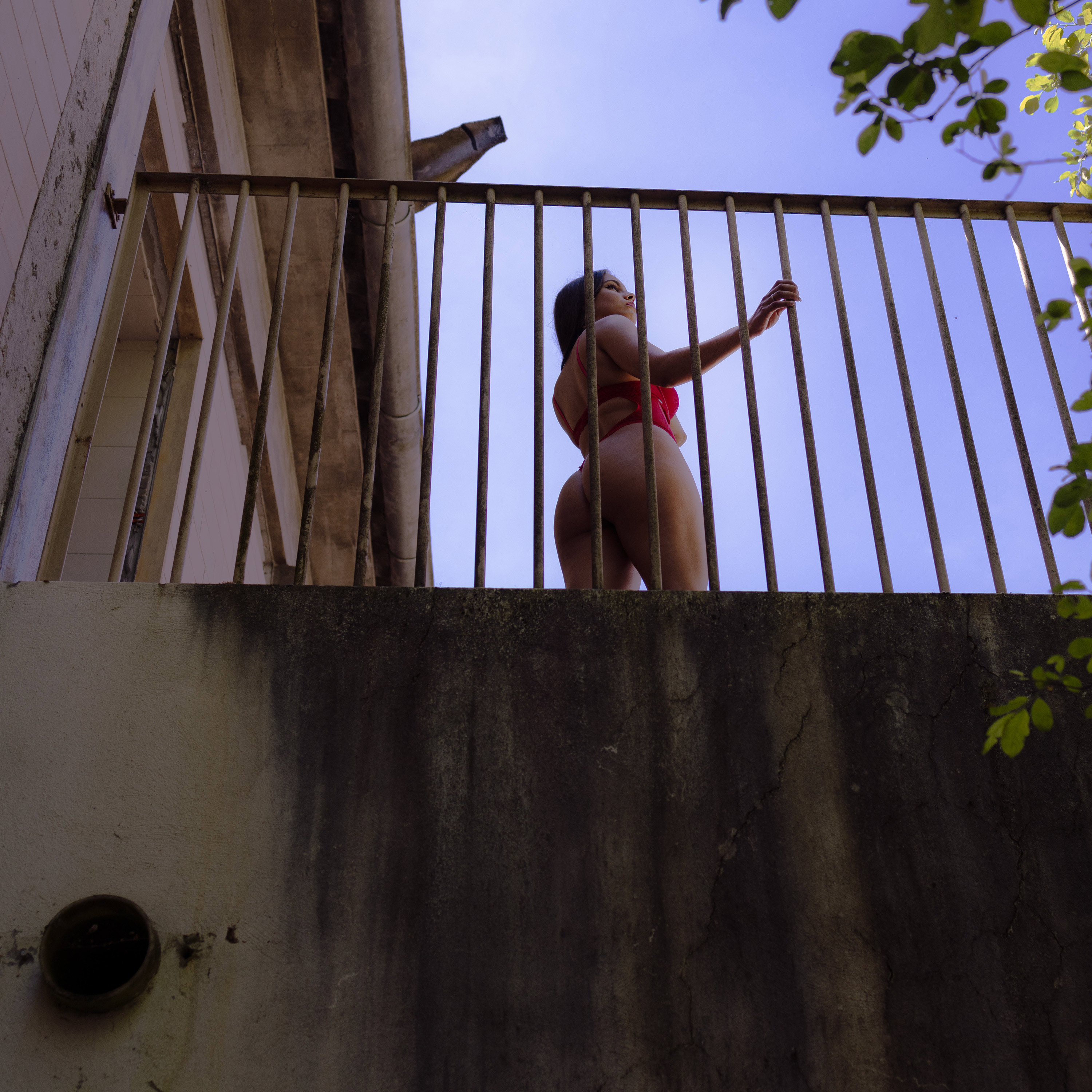 carregando imagem ...