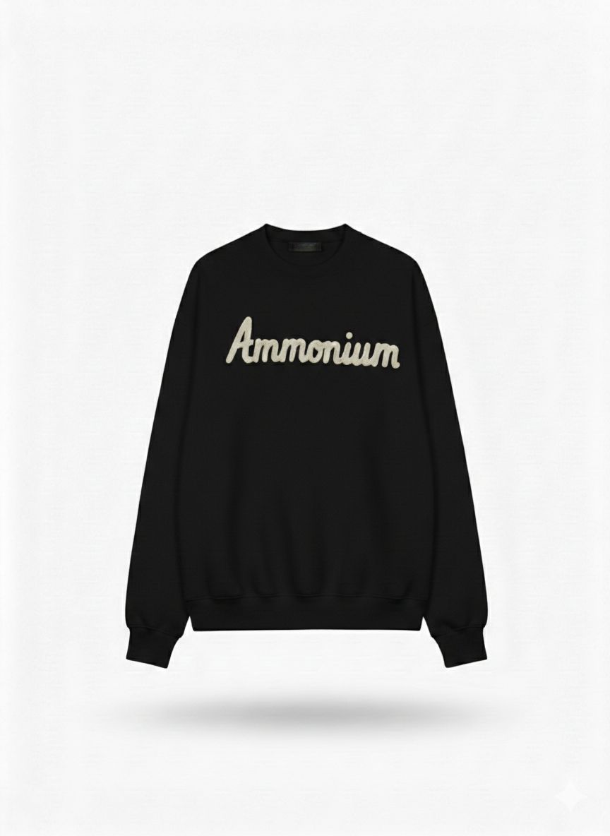 Embroided AM Sweatshirt - B