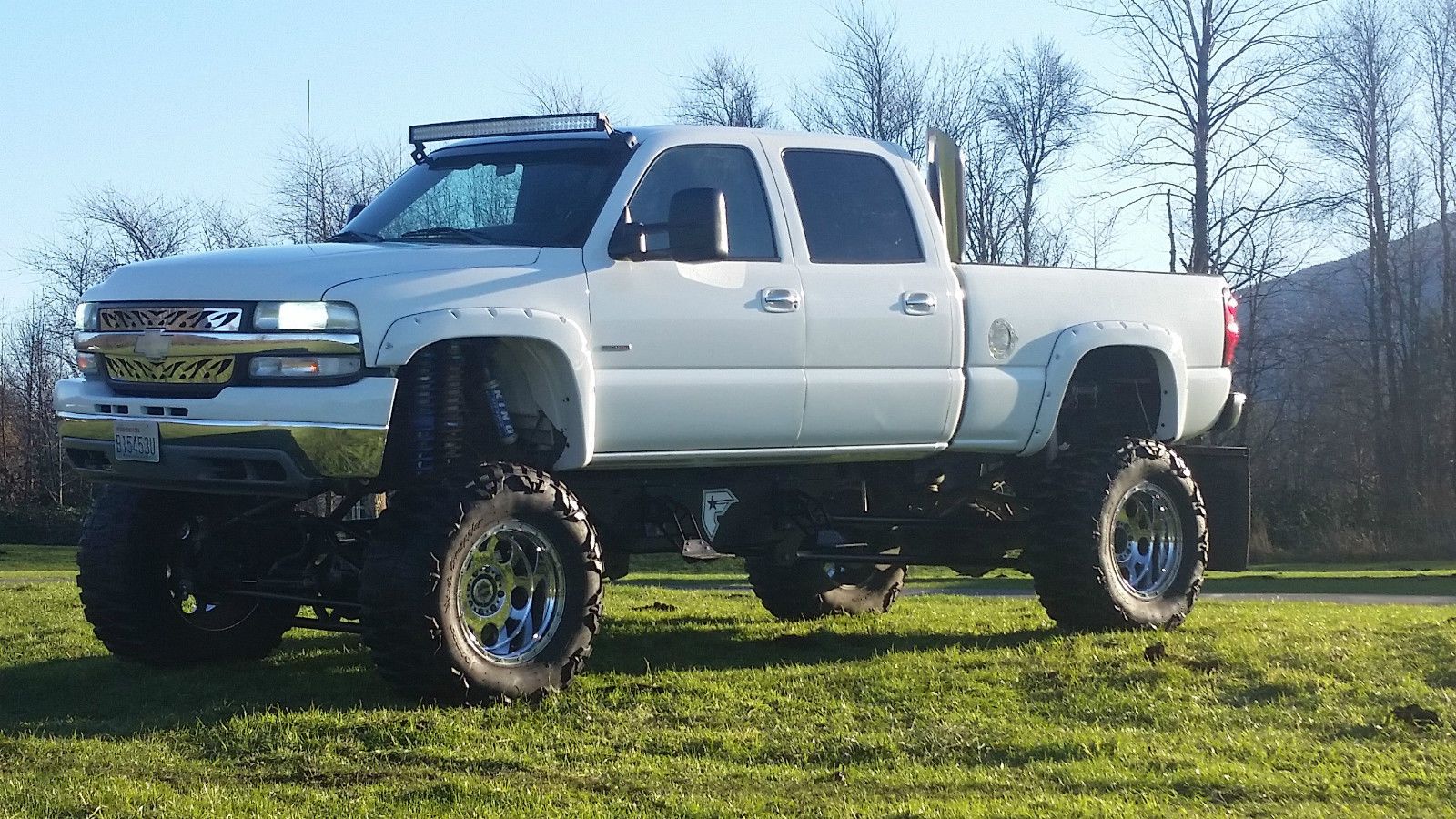 2002 Chevrolet Silverado 2500 Monster Truck Duramax Diesel for sale
