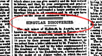 Singular Discoveries image
