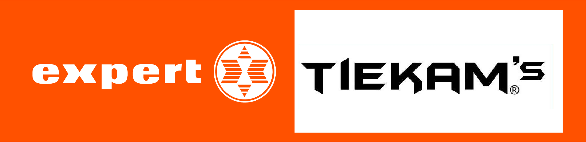 Expert Tiekams - Queenstown logo