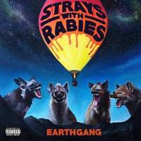 Strays with Rabies