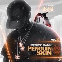 Penguin Skin 2