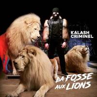 La fosse aux lions