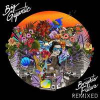 Brighter Future Remixed