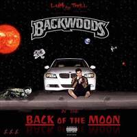 BackWoods in the Back of the Moon