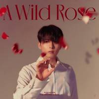 A Wild Rose