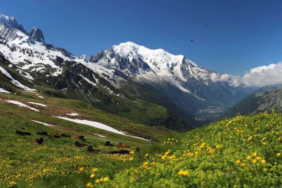 Hiking trail Tour Du Mont Blanc (TMB)