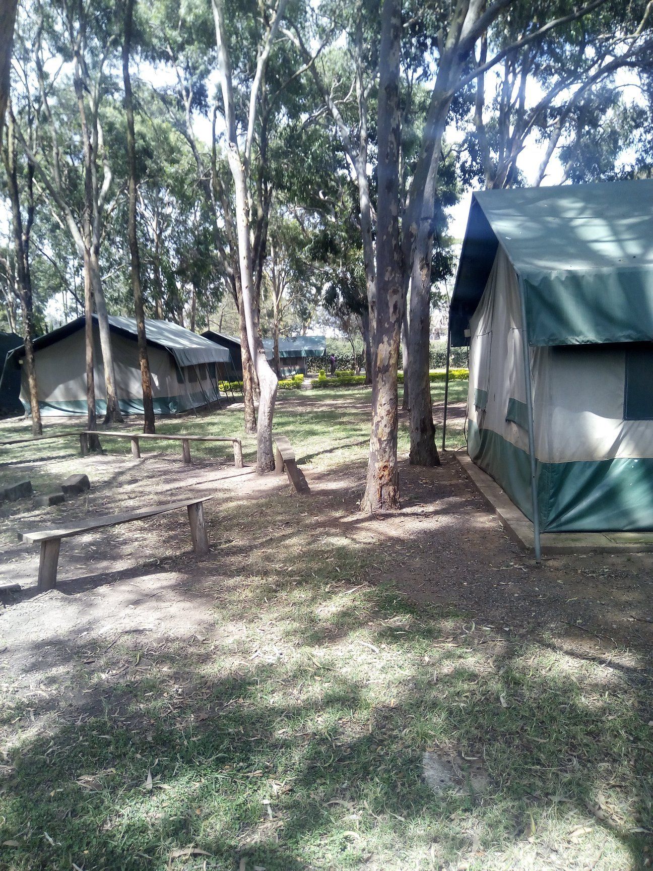4.5 acres Residential Land in Karen, Nairobi - thumbnail 3