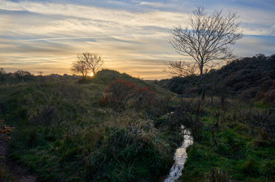 Gullane, East Lothian, Scotland.