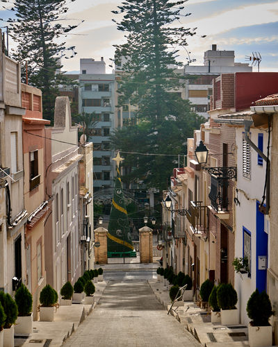 Calle Calvari, Cullera, and a Christmas tree