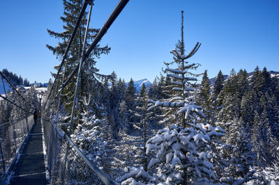 Sattel, Swiss Alps. A serene winter scene with snow-covered trees and a fence. The snow creates a peaceful atmosphere, while the green fence adds a touch of color.