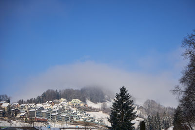 Sattel, Swiss Alps. A snowy hill with houses, a tree, and a mountain in the distance creates a serene winter view.