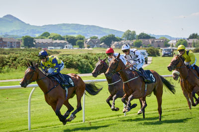 A Day at the Races - Musselburgh, June 24th