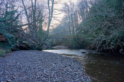 Winter riverscape beside Dalkeith Park bridge.