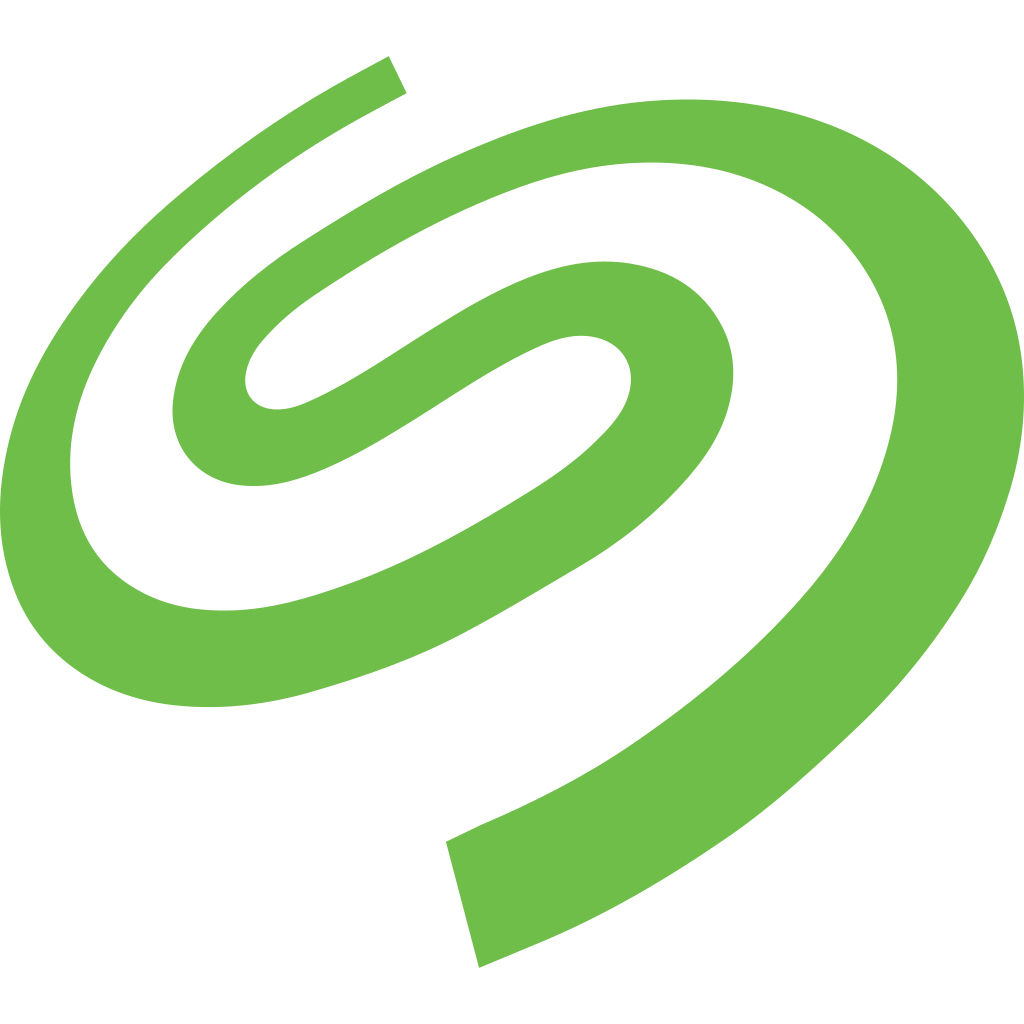 Seagate brand image