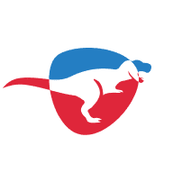 iDino brand image